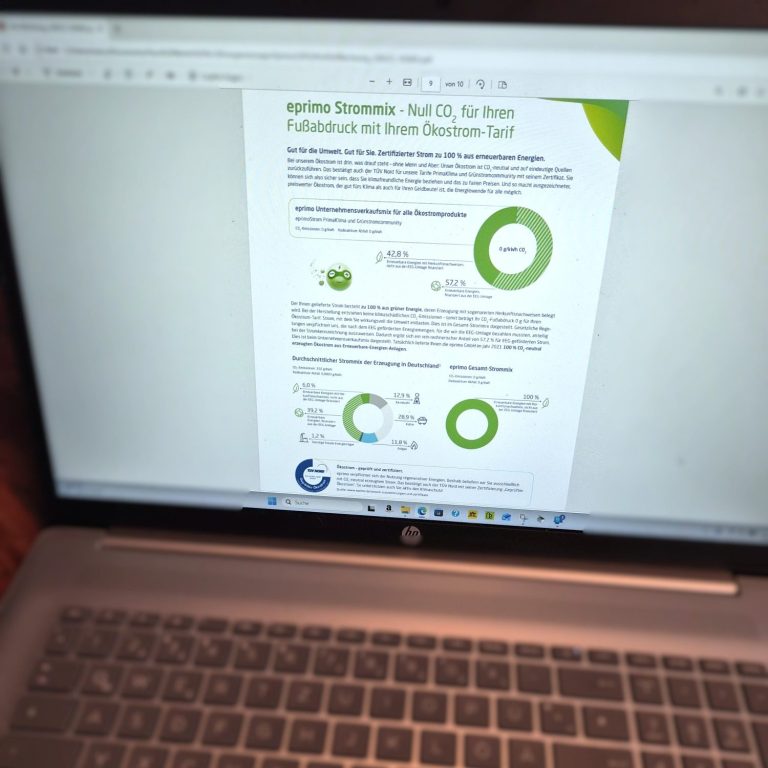 Reparatur Service Litza Optimierung von Energieversorgervertrag Ein Computerbildschirm zeigt eine Präsentation mit Diagrammen und Text.